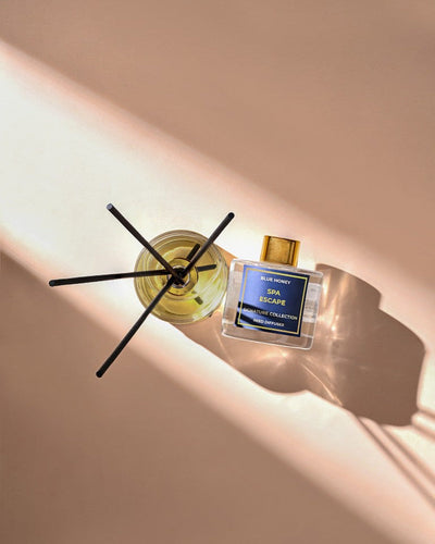 A Fragrance for Every Room You Live In: Introducing the Blue Honey Signature Collection