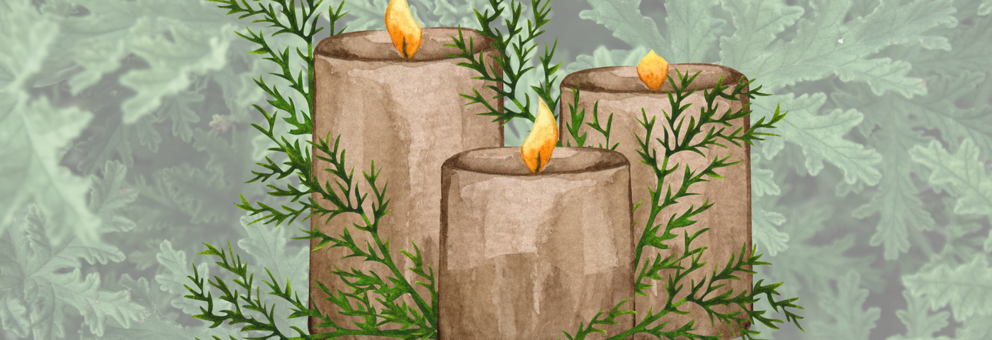 The Best Scented Candles to Keep Mosquitoes and Flies Away