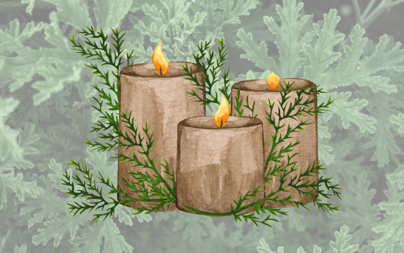 The Best Scented Candles to Keep Mosquitoes and Flies Away