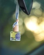 Blue Honey Signature Discovery Box – 8 Fragrances for Every Space