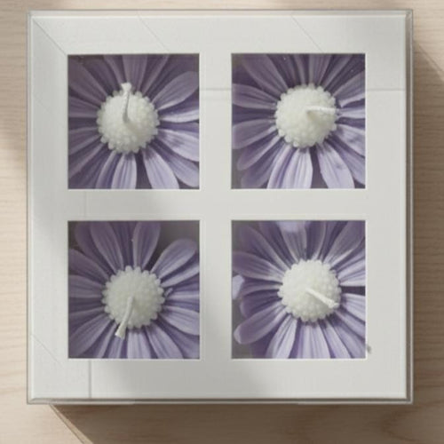 Gift box set of 4 purple daisy floating candles, perfect for home decor and special occasions.