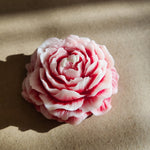 A detailed front view of a pink and white peony flower shaped soy wax candle with a rose scent.